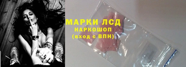 ПСИЛОЦИБИНОВЫЕ ГРИБЫ Грязовец