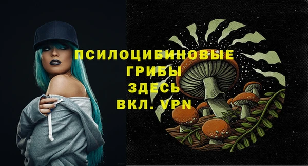 прущий лед Протвино