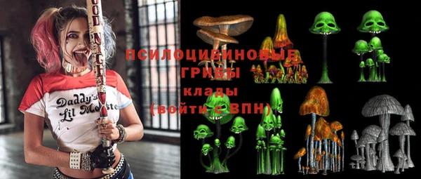 тгк Дегтярск