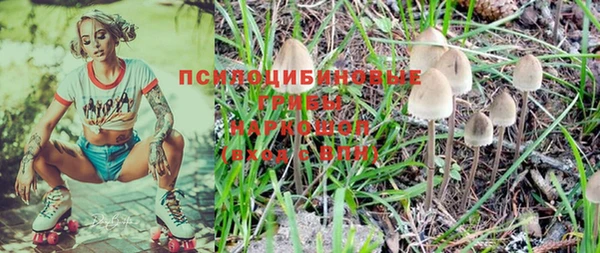 прущий лед Протвино