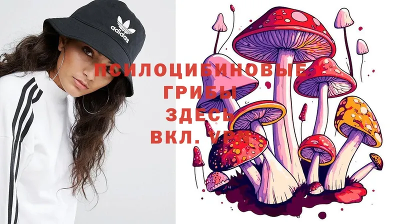 Псилоцибиновые грибы Magic Shrooms  где можно купить наркотик  Алдан 